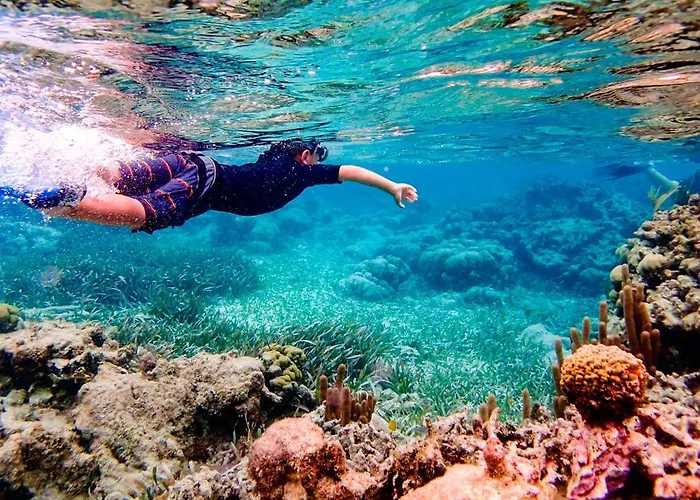 Dos Mares Admer 01 公寓